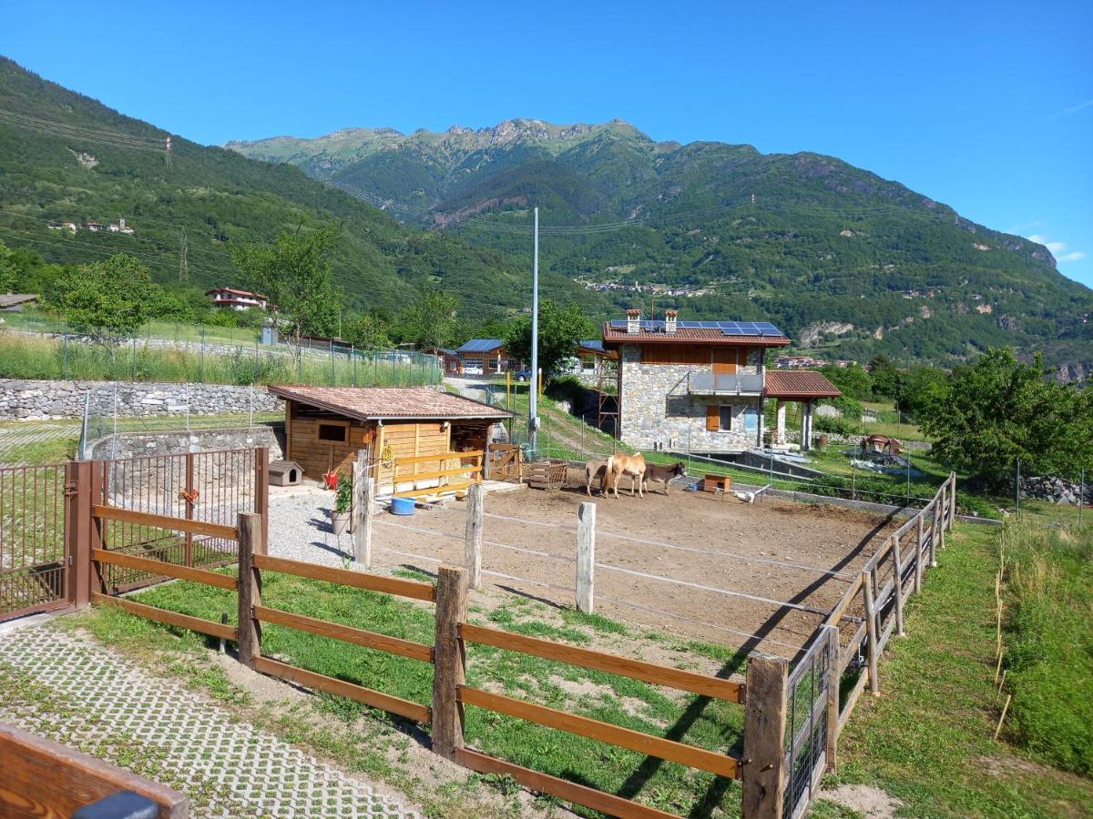 Azienda Agricola Agriturismo I Sei Petali Capo di Ponte Ngoại thất bức ảnh