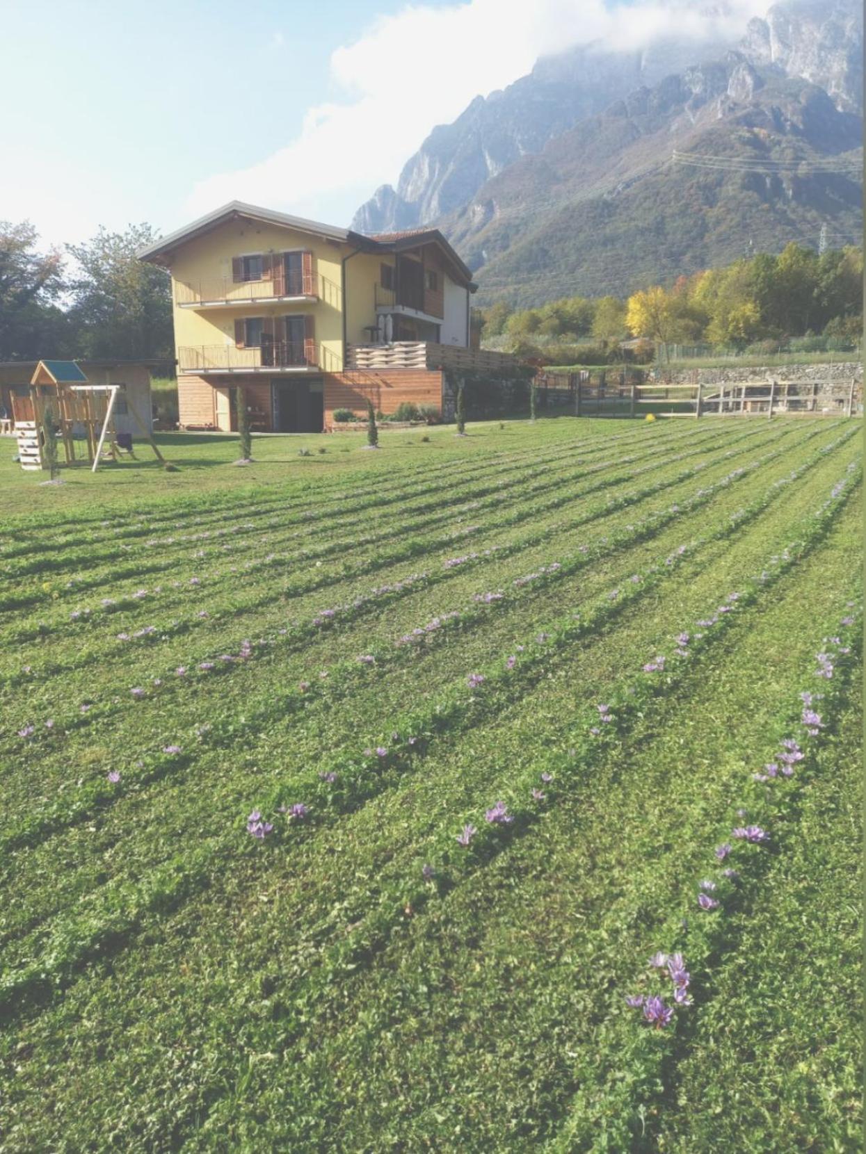 Azienda Agricola Agriturismo I Sei Petali Capo di Ponte Ngoại thất bức ảnh
